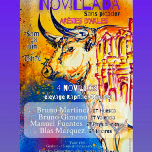 TOROS-NOVILLADA-ARENES-DARLES-28-JUIN-2025.