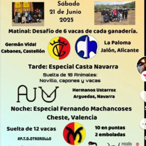 TOROS-PENYA-TAURINA-DE-DALT-21-JUNIO-2025