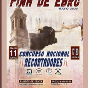 TOROS-PINA-DE-EBRO-11-MAYO-2025
