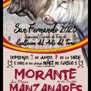 TOROS-PLAZA-DE-TOROS-ARANJUEZ-1-DE-JUNIO-2025