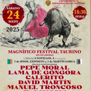 TOROS-PLAZA-DE-TOROS-BURGUILLOS-24-MAYO-2025