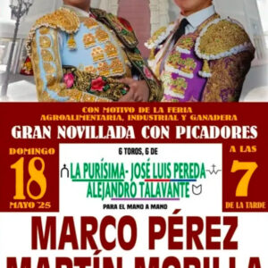 TOROS-PLAZA-DE-TOROS-MORON-18-MAYO-2025
