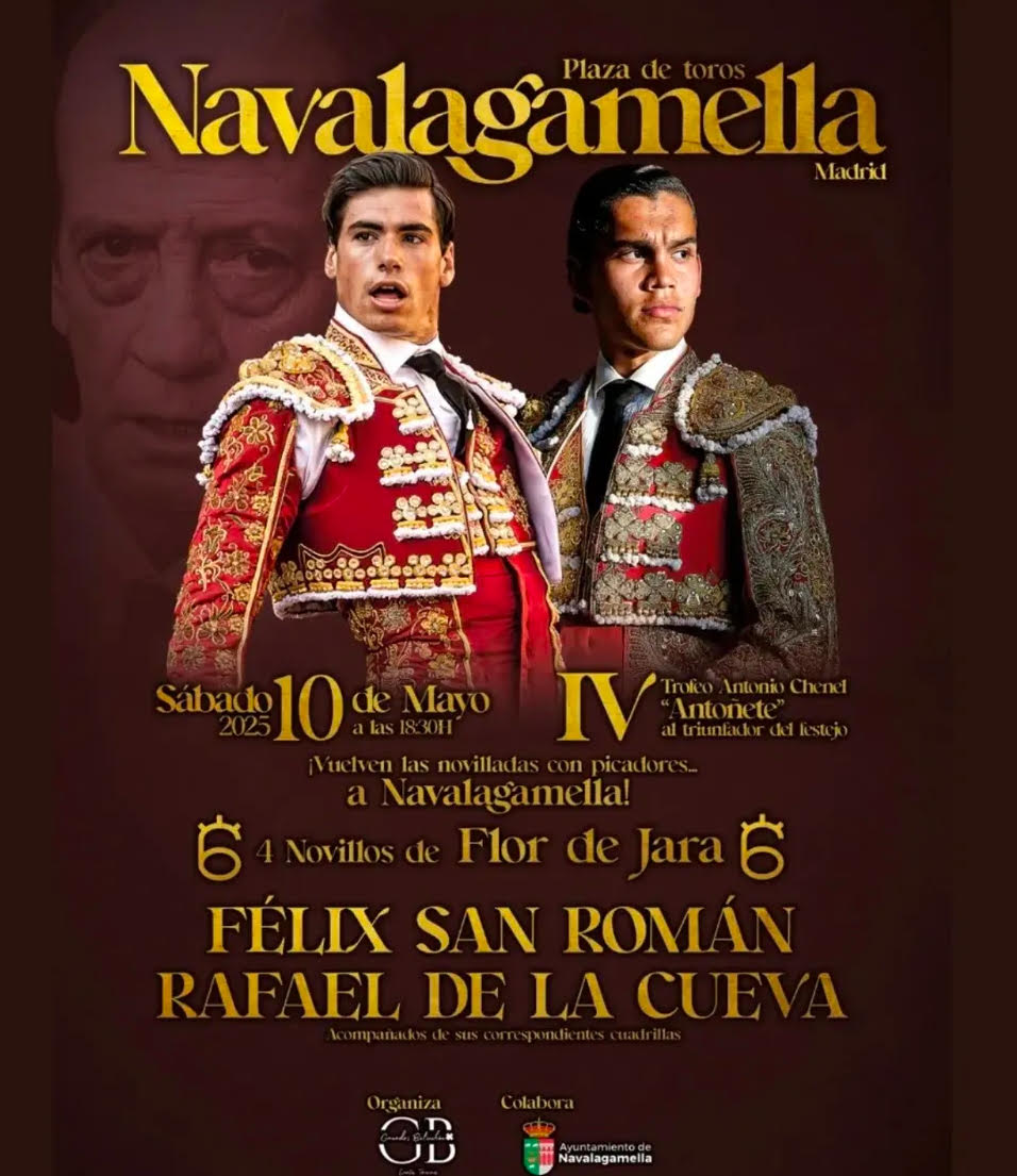 TOROS-PLAZA-DE-TOROS-NAVALAGAMELLA-10-MAYO-2025