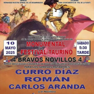 TOROS-PLAZA-DE-TOROS-NTRA.-SRA.-DE-LOS-DESAMPARADOS-10-MAYO-2025