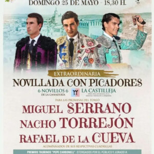 TOROS-PLAZA-DE-TOROS-ORGAZ-25-MAYO-2025