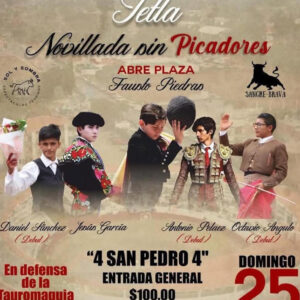TOROS-PLAZA-DE-TOROS-RAUL-GONZALEZ-25-MAYO-2025
