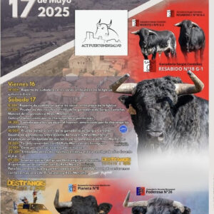 TOROS-PUERTOMINGALVO-17-MAYO-2025