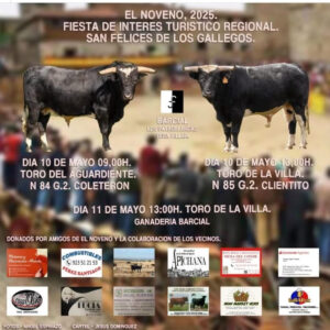 TOROS-SAN-FELICES-DE-LOS-GALLEGOS-10-Y-11-MAYO-2025