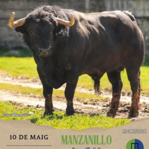 TOROS-SANT-PASCUAL-10-DE-MAYO-2025