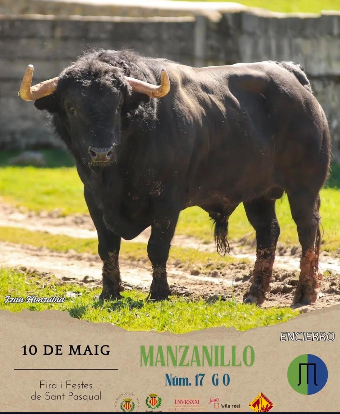 TOROS-SANT-PASCUAL-10-DE-MAYO-2025