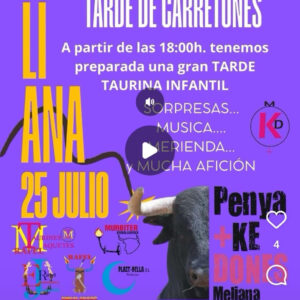 TOROS-TARDE-CARRETONES-25-JULIO-2025.