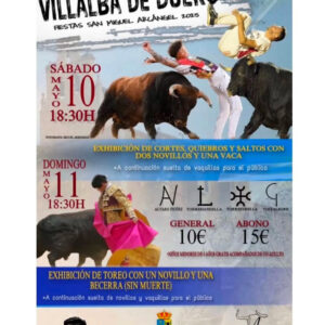 TOROS-VAILLABA-DE-DUERO-10-MAYO-2025