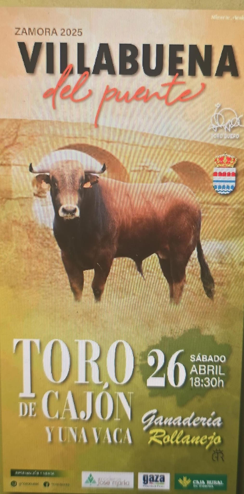 TOROS-VILLABUENA-DEL-PUENTE-26-ABRIL-2025