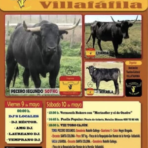 TOROS-VILLAFAFILA-9-Y-10-DE-MAYO-2025.