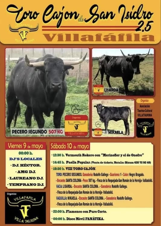 TOROS-VILLAFAFILA-9-Y-10-DE-MAYO-2025.