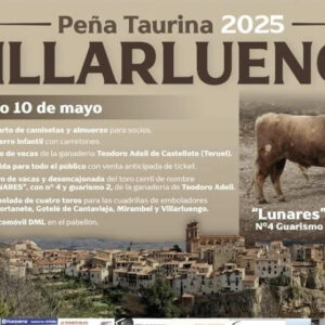 TOROS-VILLARLUENGO-10-MAYO-2025