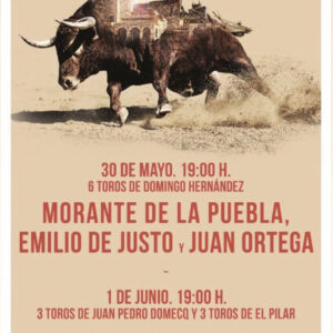 TOROS-FERIA-DE-SAN-FERNANDO-30 Y MAYO, 1 DE JUNIO-2025