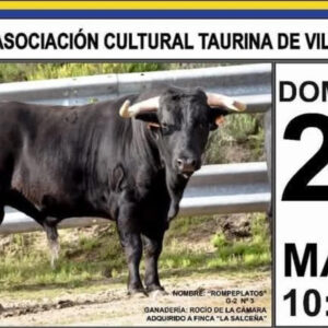 TORO-VILLAMANTA-25-MAYO-2025