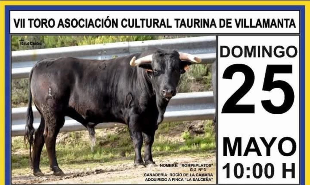 TORO-VILLAMANTA-25-MAYO-2025