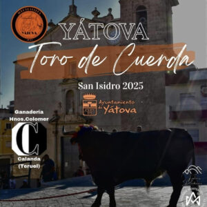 TORO-YATOVA-TORO-EN-CUERDA-10-MAYO-2025