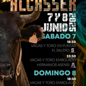 TOROS-ALCASSER-7-Y-8-DE-JUNIO-2025