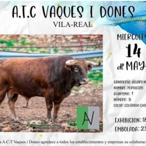 TOROS-ACTV-VAQUES-I-DONES-14-MAYO-2025