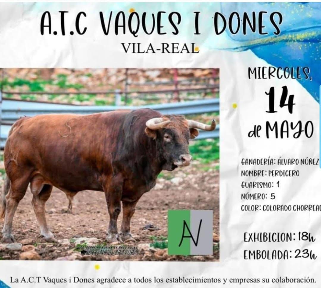 TOROS-ACTV-VAQUES-I-DONES-14-MAYO-2025