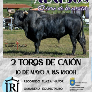 TOROS-ALAEJOS-10-MAYO-2025