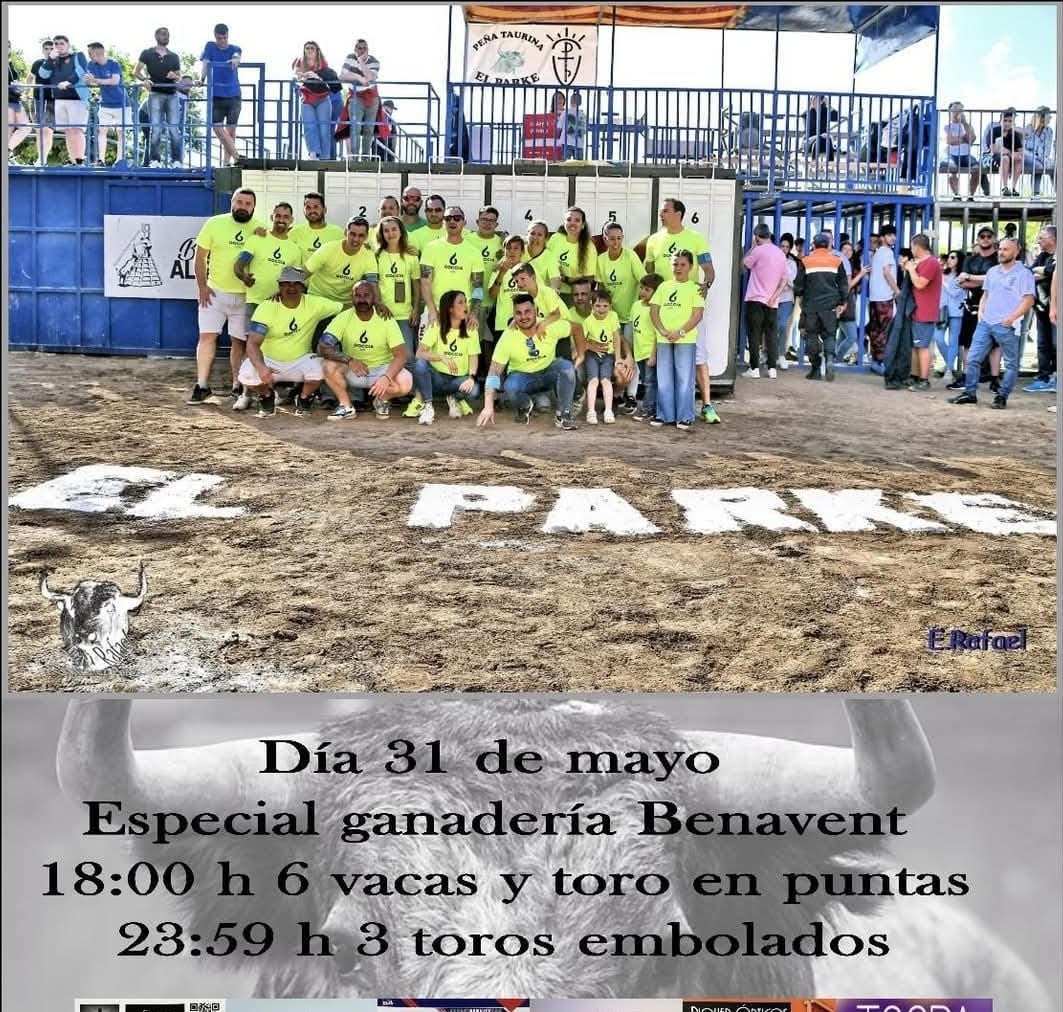 TOROS-ALBORAIA-31-MAYO-2025.