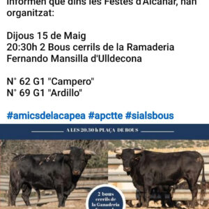 TOROS-ALCANAR-15-MAYO-2025