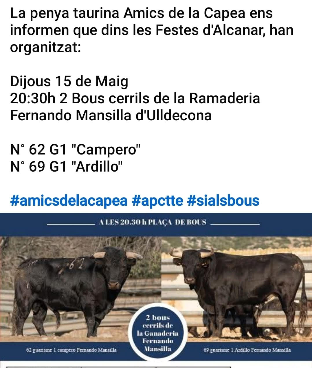 TOROS-ALCANAR-15-MAYO-2025