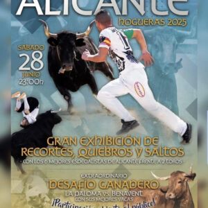 TOROS-ALICANTE-28-DE-JUNIO 2025