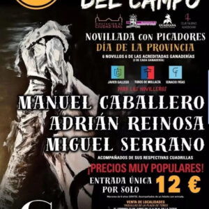 TOROS-ALMODOVAR-DEL-CAMPO-28-DE-JUNIO-2025