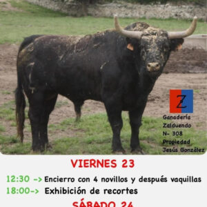 TOROS-ALPEDRETE-MADRID-23-Y-24-MAYO-2025