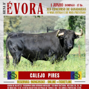 TOROS-ARENA-SE-EVORA-1-JUNIO-2025.