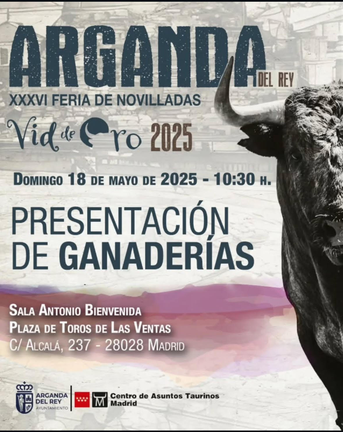 TOROS-ARGANDA-DEL-REY-18-MAYO-2025