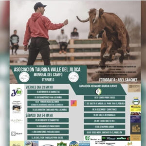 TOROS-ASOCIACION-TAURINA-VALLE-DE-JILOCA-23-Y-24-DE-MAYO-2025