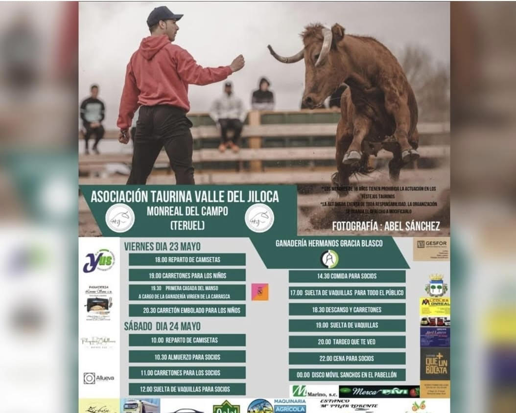 TOROS-ASOCIACION-TAURINA-VALLE-DE-JILOCA-23-Y-24-DE-MAYO-2025