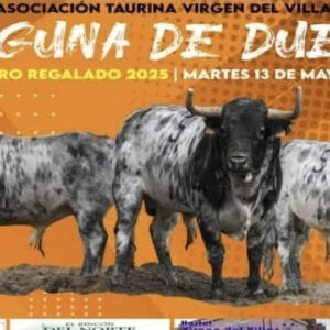 TOROS-ASOCIACION-TAURINA-VIRGEN-DEL-VILLAR-13-MAYO-2025