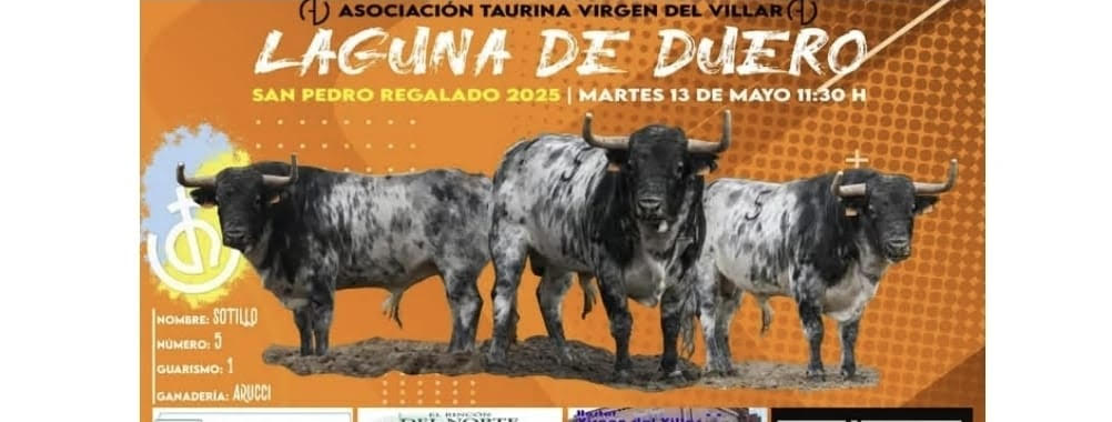TOROS-ASOCIACION-TAURINA-VIRGEN-DEL-VILLAR-13-MAYO-2025