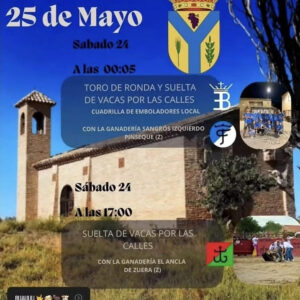 TOROS-BARBOLES-DEL-23-AL-25-DE-MAYO-2025.