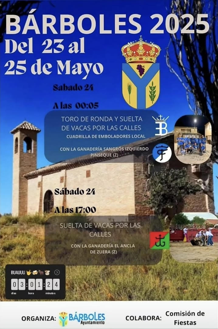 TOROS-BARBOLES-DEL-23-AL-25-DE-MAYO-2025.