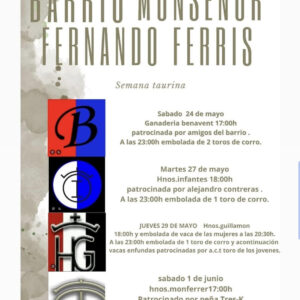 TOROS-BARRIO-MONSENOR-27-MAYO-2025.