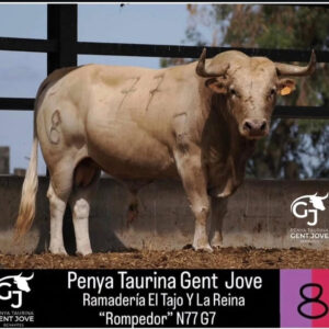 TOROS-BENAVITES-5-JUNIO-2025