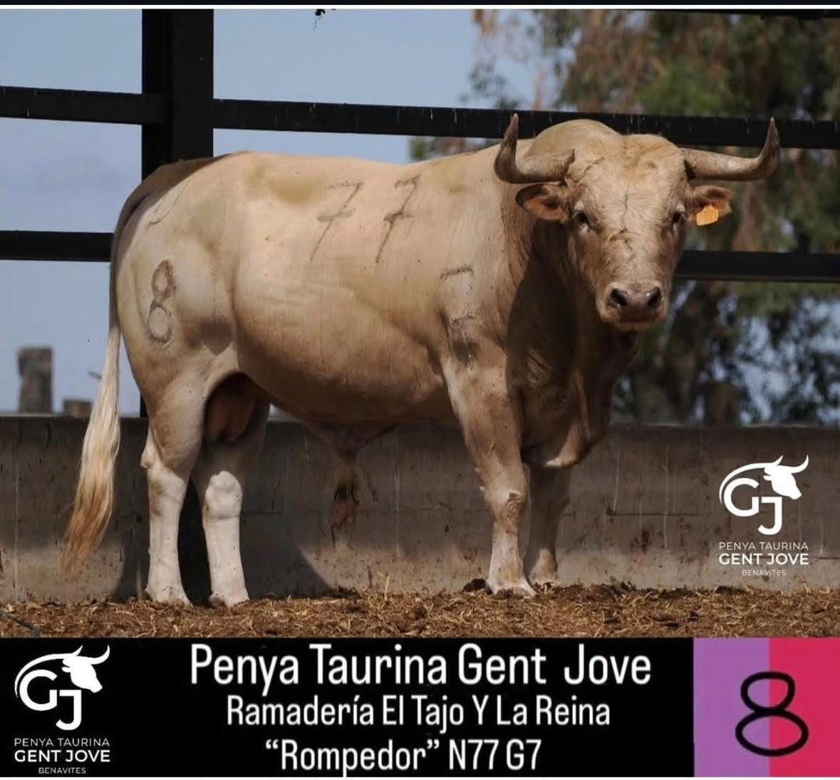 TOROS-BENAVITES-5-JUNIO-2025