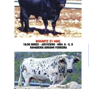 TOROS-BETXI-31-MAYO-2025