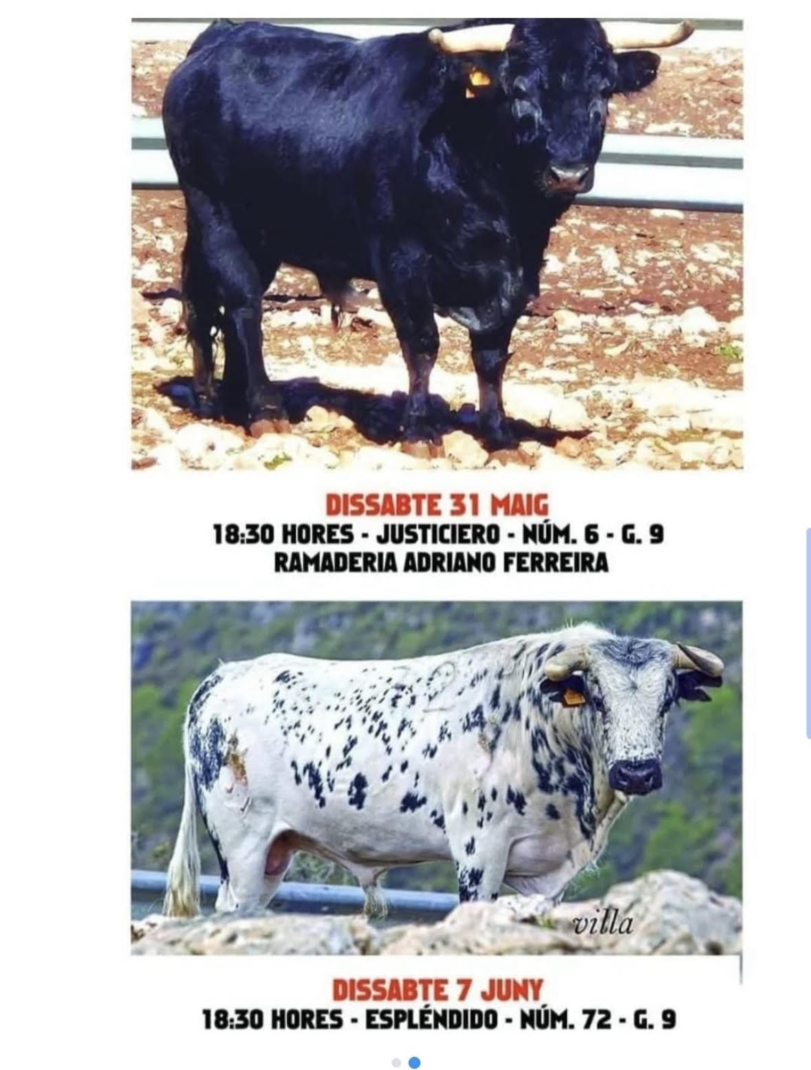 TOROS-BETXI-31-MAYO-2025