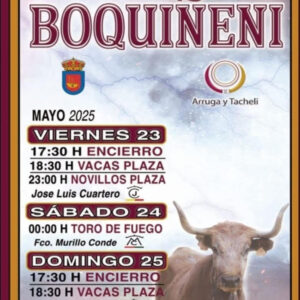TOROS-BOQUIÑENI-DEL-23-AL-25-MAYO-2025.