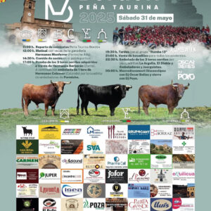 TOROS-BORDON-31-MAYO-2025