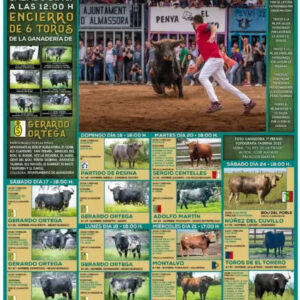 TOROS-BOUS-ALMASSORA-17-MAYO-2025